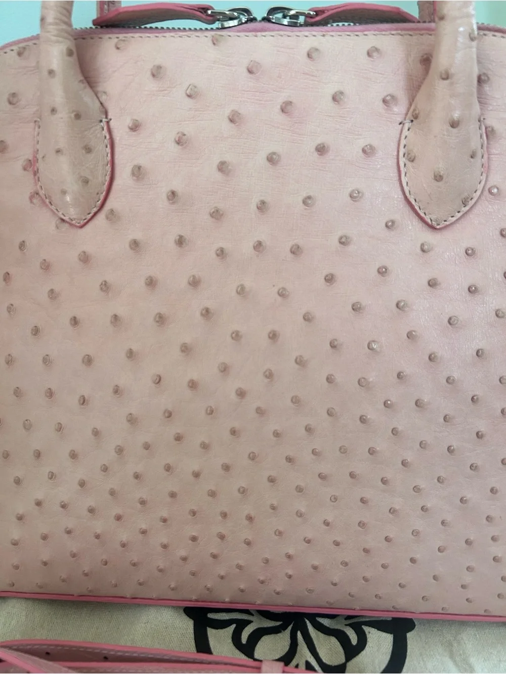 Pink Genuine Ostrich Leather LaNae Exotic  Satchel Tassel and Crossbody Strap